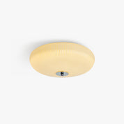Lamella Ceiling Light