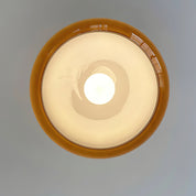 Quadri Foglio Ceiling Light
