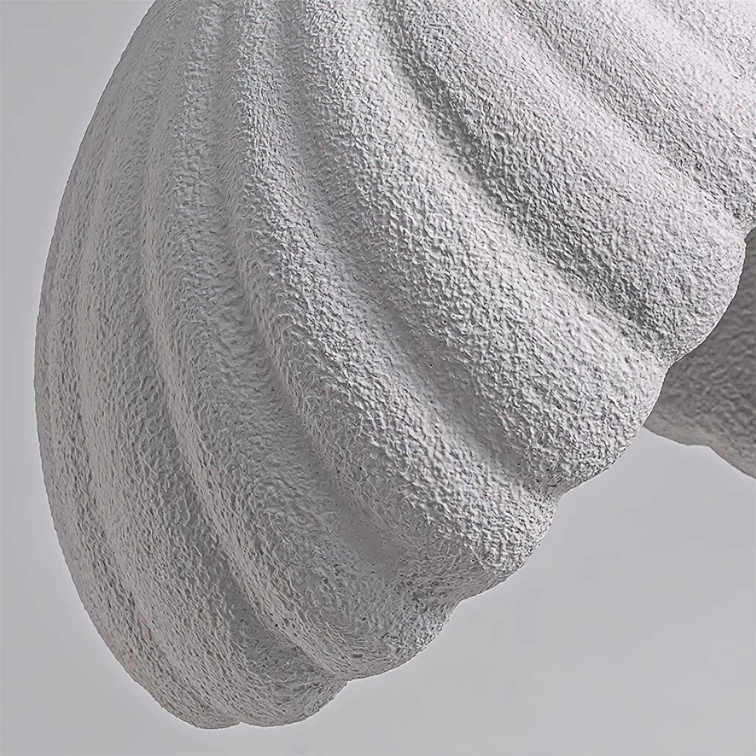 Resin Shell Pendant Lamp