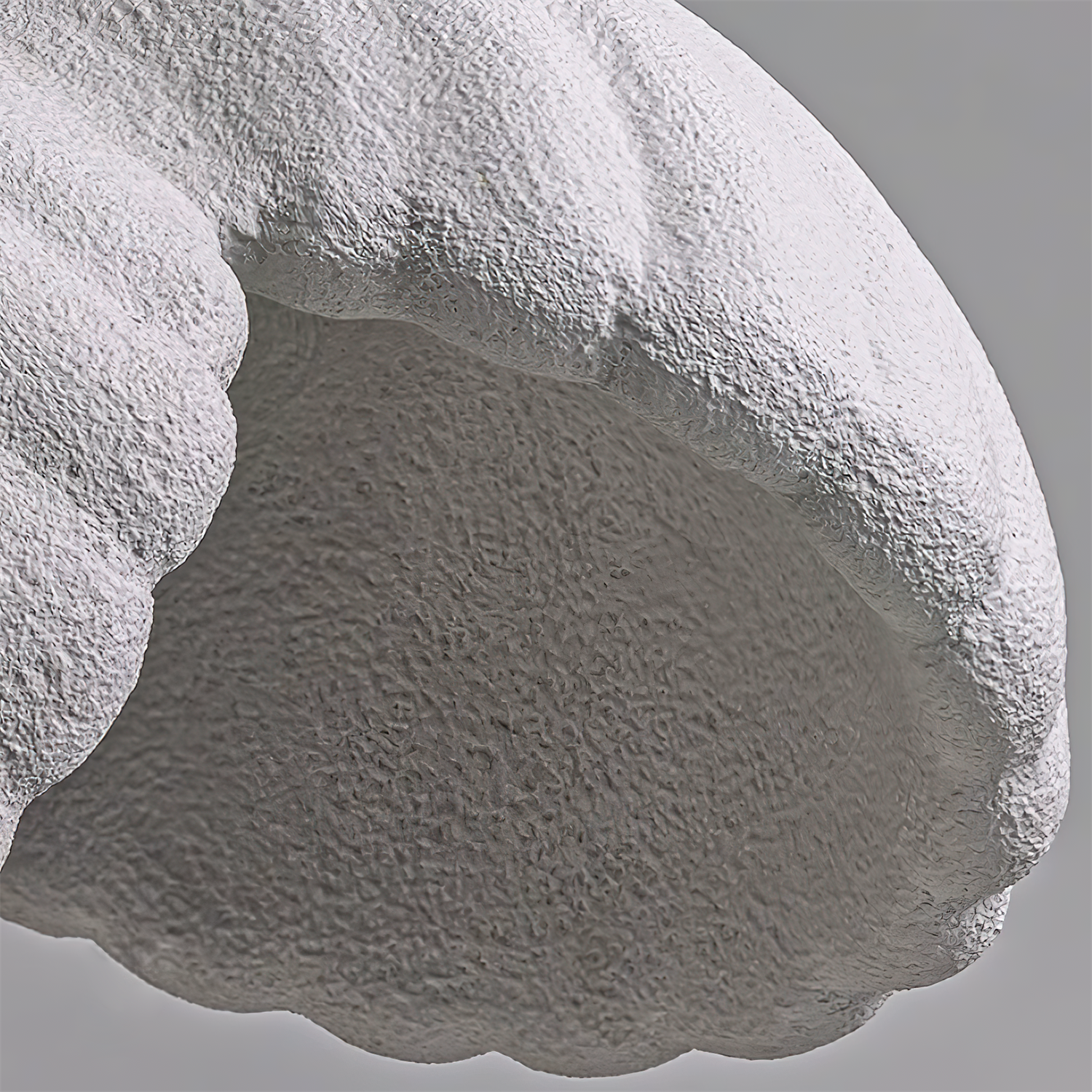 Resin Shell Pendant Lamp