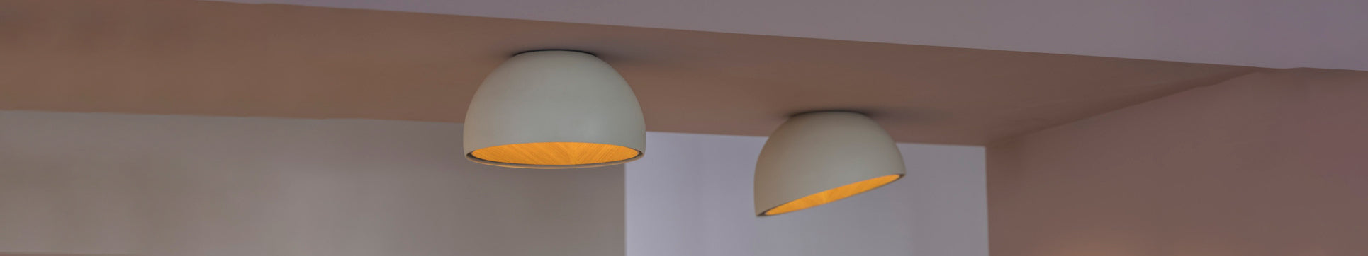 Ceiling Light