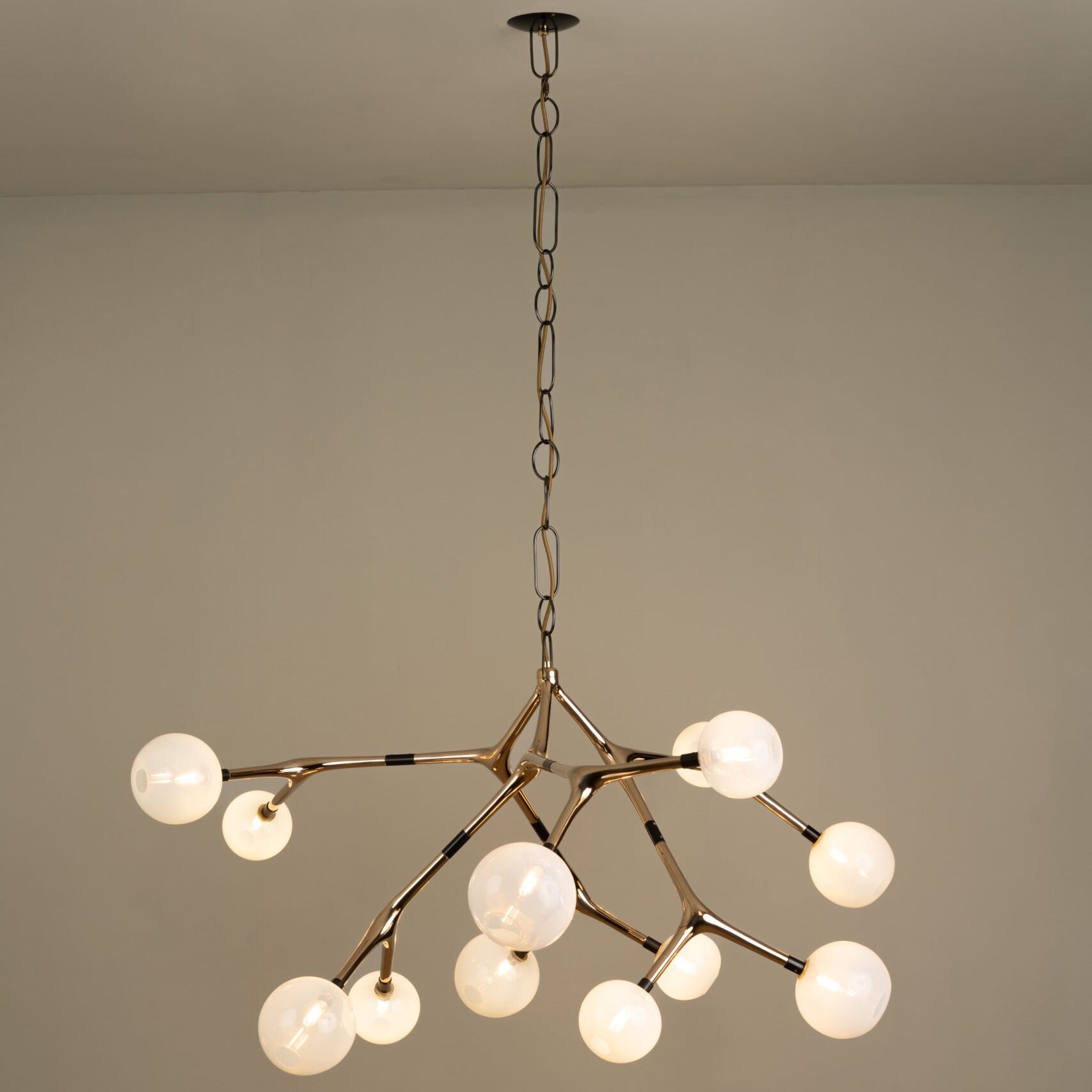 Jestero Chandelier