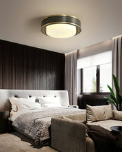 Mossy Ceiling Light