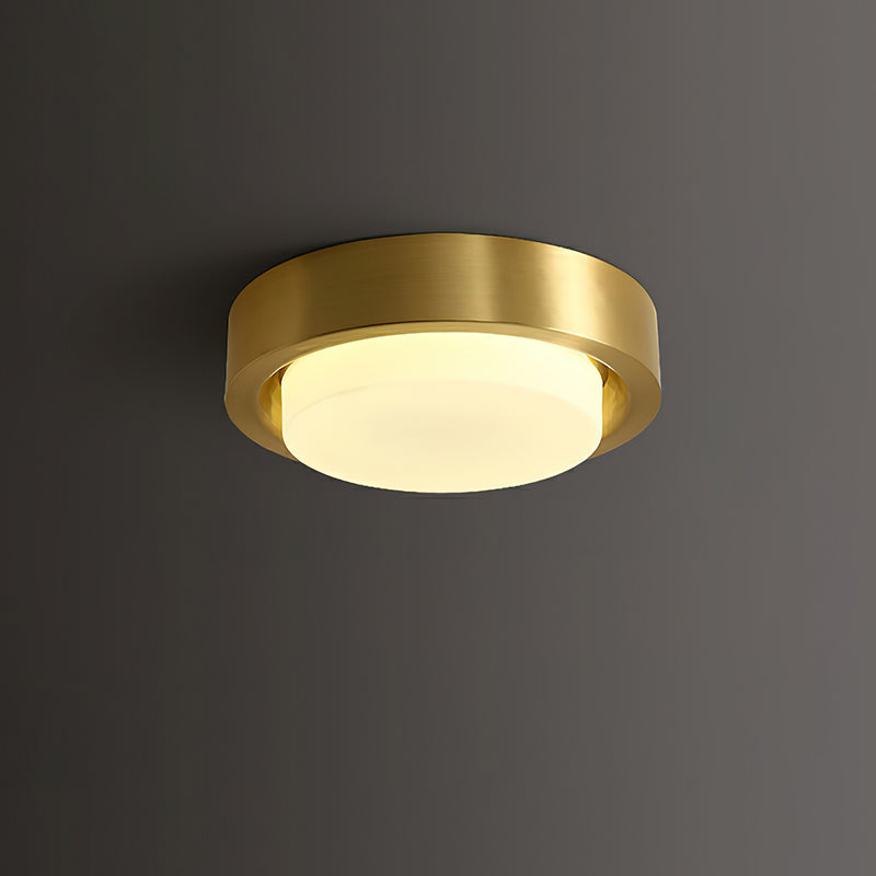 Mossy Ceiling Light