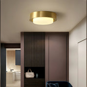 Mossy Ceiling Light