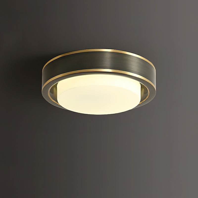 Mossy Ceiling Light