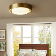 Mossy Ceiling Light