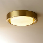 Mossy Ceiling Light