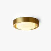 Mossy Ceiling Light