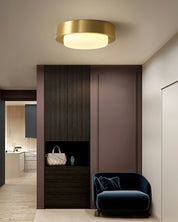 Mossy Ceiling Light