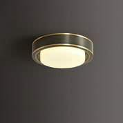 Mossy Ceiling Light
