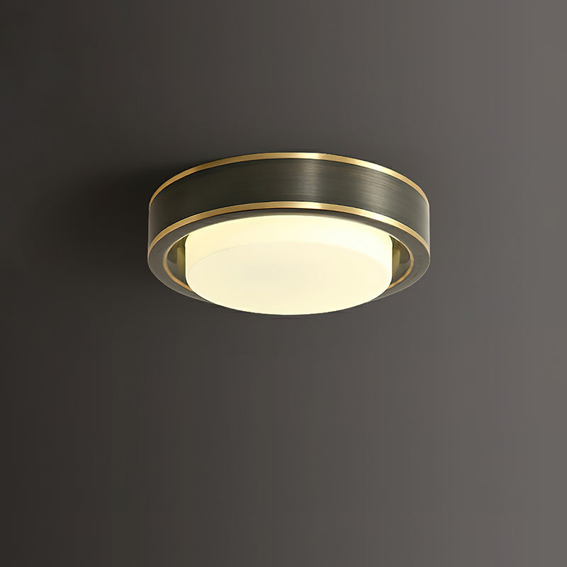 Mossy Ceiling Light