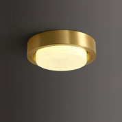 Mossy Ceiling Light