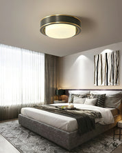 Mossy Ceiling Light