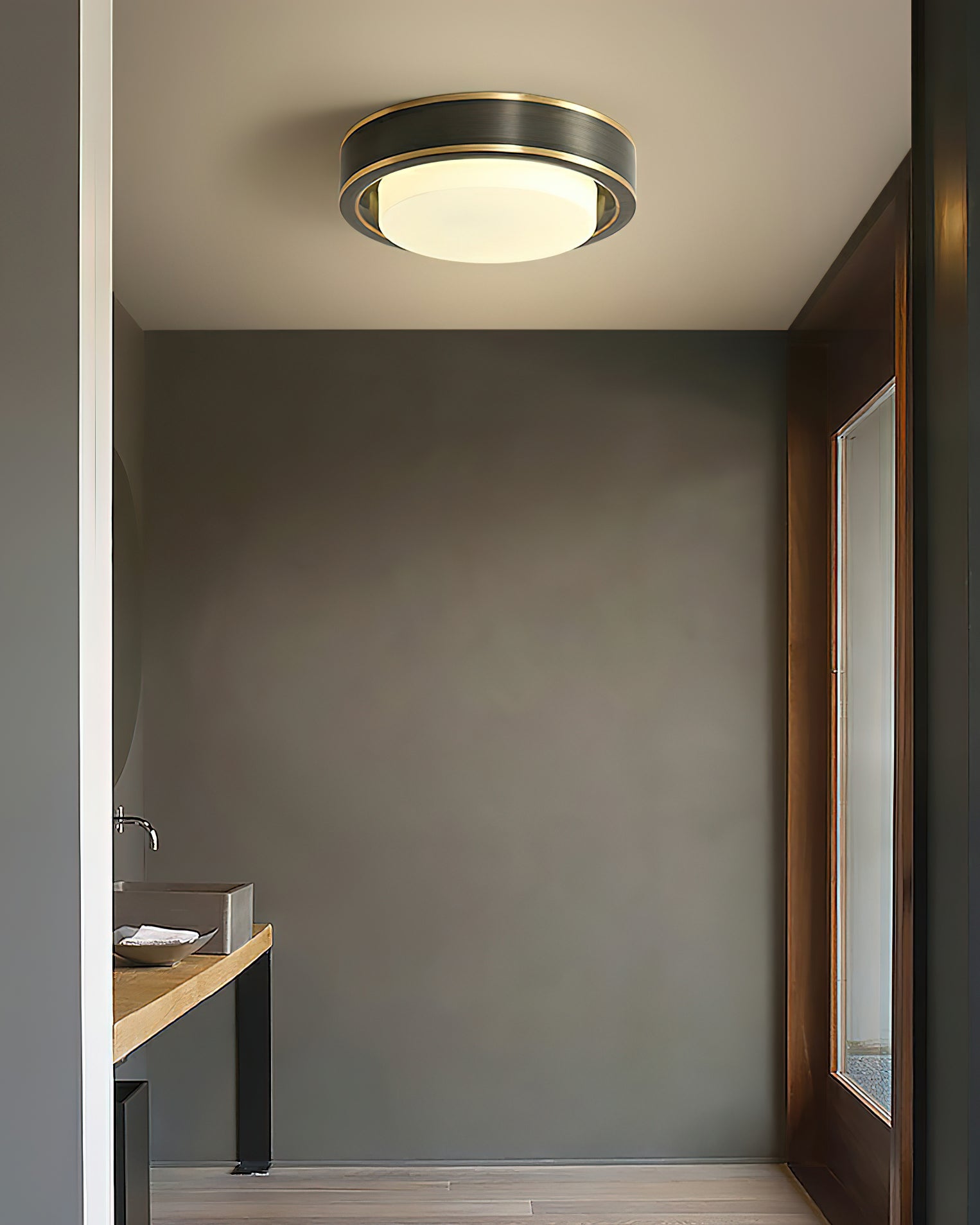 Mossy Ceiling Light