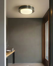 Mossy Ceiling Light