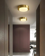 Mossy Ceiling Light